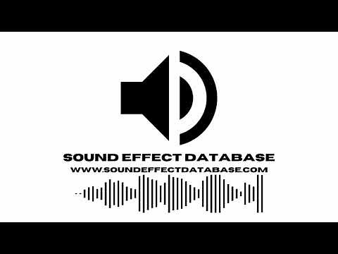 Female Military Radio Voice - Target Locked Sound Effect