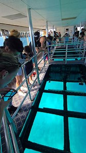 Glass Bottom Boat Key largo Florida | Richard LeBel