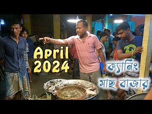 ক্যানিং মাছের বাজার এপ্রিল 2024 || Sundarban fish market || fish price 2024 | #sundarban #prawns