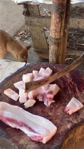 Mastering Pork Cutting Techniques Quickly #porkchilly