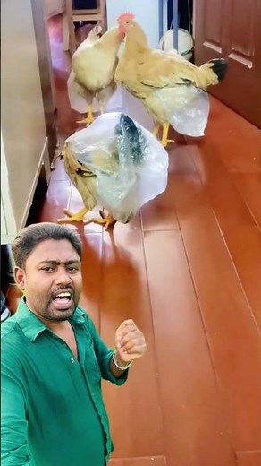 #shortvideos #viralvideo #duet #foryou #trendingvideo