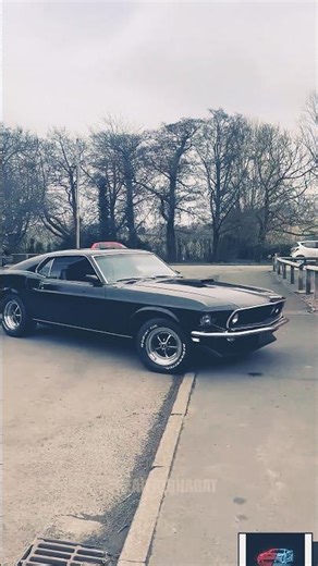 The Crazyy Black corvette !!