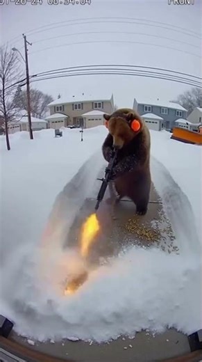 The AMERICAN way to clear snow.. 💀😂