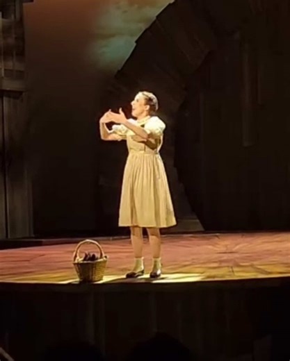 Embracing Sign Language in Wizard of Oz Performances