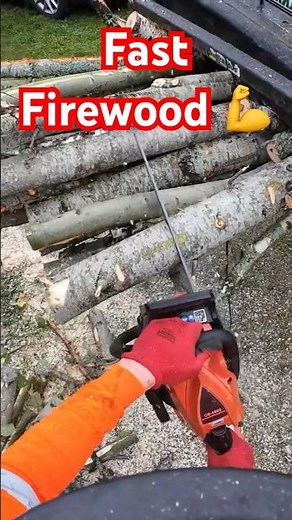 Turning Logs into Firewood Right from the Grapple! 🚜 Echo CS-4920