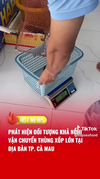 Cá chim vây vàng Cà Mau về nhiều tại Chợ Hải Sản HAP