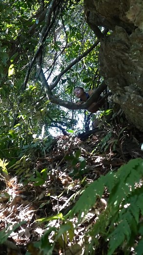 18K views · 368 reactions | Black panther station, Hunting the black panther monster alone, surviving alone, Survival skills #survival #hunting #fishing #food | I Am Primitive | Facebook