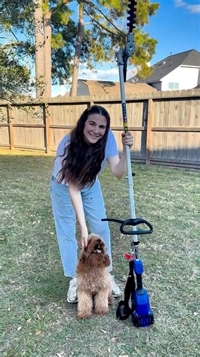 gulsah basaran on Instagram: "Yard work just got so much easier with this Wild Badger Power 4-in-1 cordless multi-tool. It handles trimming, edging, hedge cutting, and even small branches — all with one tool. No cords, no hassle. It’s powerful, lightweight, and super easy to use, which makes keeping the yard clean and tidy so much faster. If you love a well-maintained outdoor space, this is definitely worth checking out. @wildbadgerpower #WildBadgerPower #StringTrimmer #MultiTool #PresidentsDayS