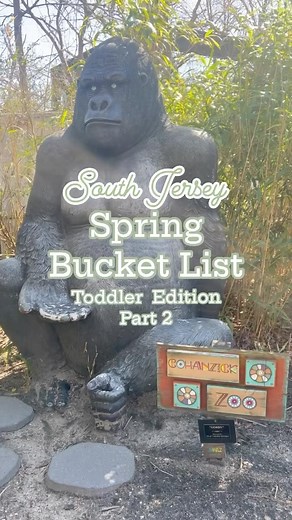 Your Mom Friend South Jersey on Instagram: "I’ve got another one to add to your South Jersey Spring Bucket List! ☑️ The Cohanzick Zoo in Bridgeton, NJ is New Jersey’s FIRST zoo AND one of the very few FREE zoos left in the nation! 🐅 Even though the zoo is smaller, the animals have big personalities and we spent about 2 hours there just hanging out and observing them! 👀 There are over 100 animals at the zoo— our favorite were the little Fennec Foxes, named Nipper and Tripper. 🦊 We also loved h