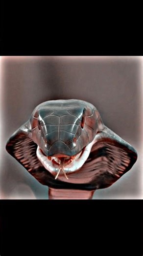 south movie short 😎