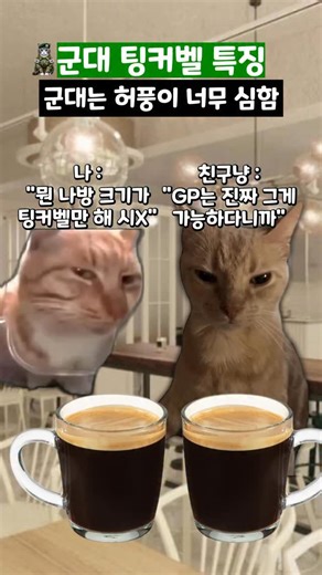 박건특징 on Instagram: "근데 팅커벨은 허풍이 아니고 진짜임 #shorts #군대 #팅커벨 #고양이"