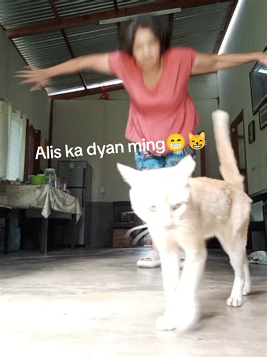 Birthday Celebrations with Jeremih's Album