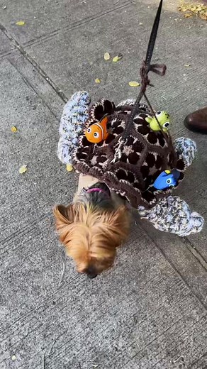 DIY Crochet Finding Nemo Yoyo Costume Tutorial