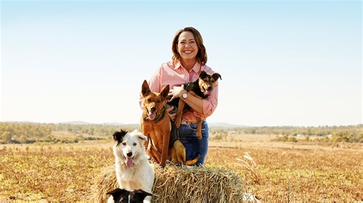 2025 Logie Award nominations: Lisa Millar, Julia Morris and Poh Ling Yeow among gold nods