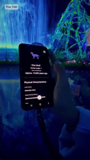 TeamLab Plantets Tokyo, Toyosu, Japan