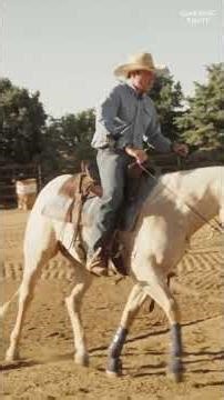 Dry Work on a Futurity Ranch Sorting Horse