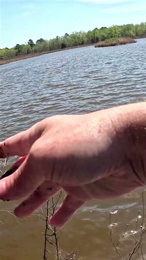 Why this old school fishing method still catches fish #fishing #technique
