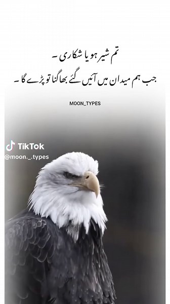 Understanding Different Types of Moons