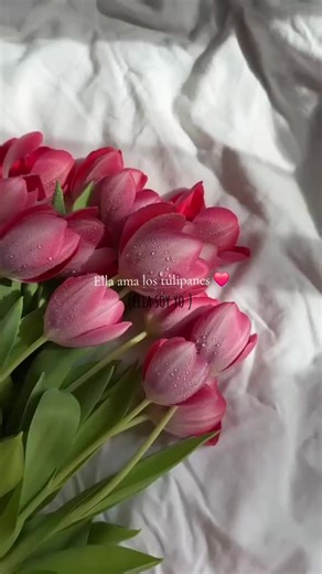 Videos de fershas 💫💗 (@jenn_faerie) con “sonido original - fershas 💫💗”