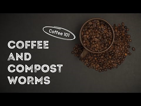 How To Worm Compost Coffee Grounds