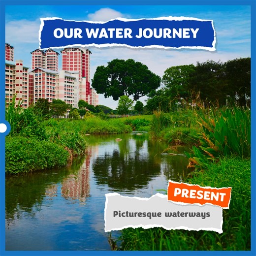 464K views · 206 reactions | The meandering Kallang River flows...