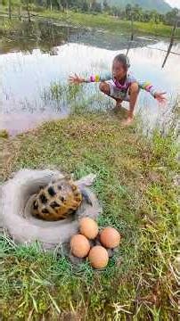 Survival Skills: SIMPLE and USEFUL with Turtle trapping tool #survival #bushcraft #survival #skills