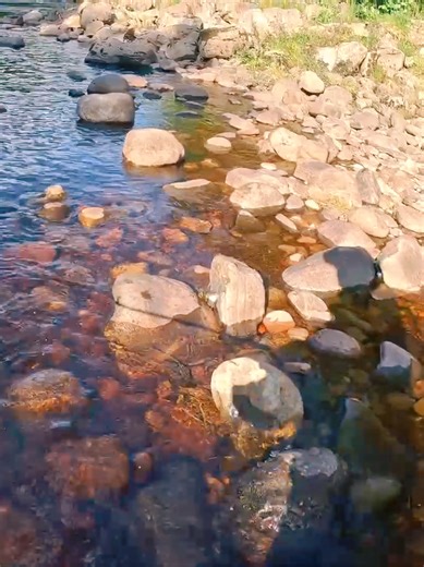 River Findhorn Altyre. Salmon fly fishing scottish highlands. #altyre #riverfindhorn #salmonfishing #salmonflyfishing #nairnfly