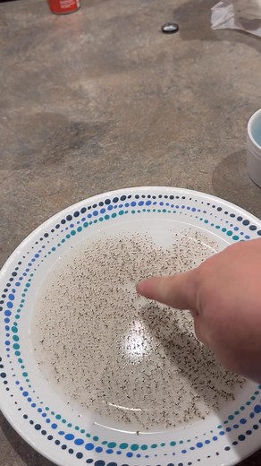 4.2K views · 54 reactions | This simple science experiment shows a big truth: without God, barriers pile up and weigh us down. But with Him, they scatter and lose their power. ✨ See how Lifest works year-round to bring that hope to families — visit lifest.org. | Lifest | Facebook