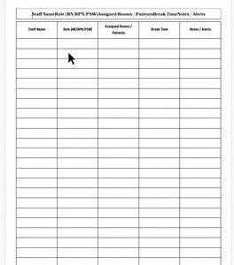 Charge Nurse Report Sheet Bundle, Printable Handoff Report and Assignment Sheet for Hospital Chagre Nurses and Team Leads for Rns Rpns Lpns - Etsy