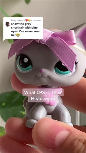How to Swap Heads on Littlest Pet Shop Cat Figure