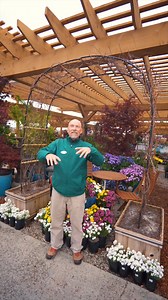 433K views · 11K reactions |  5 Reasons to Plant Wisteria 1️⃣...