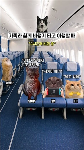 가족과 함께 비행기 타고 여행할 때 ✈️
