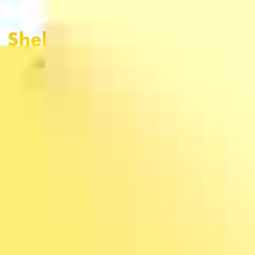 1.7K views | ⚡ Die Shell Recharge Elektromobilitätsstudie 2024 ist da - mit spannenden Erkenntnissen. 邏 Alle Ergebnisse gibt es hier ➡️ https://go.shell.com/4gKJIWb | Shell Deutschland | Facebook