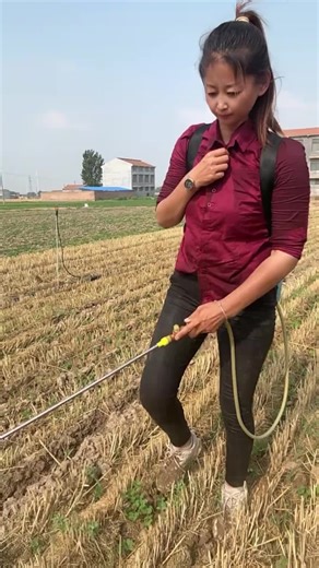 How to Resolve TikTok Account Review Issues