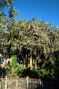 Swiss Family Treehouse - Alchetron, The Free Social Encyclopedia