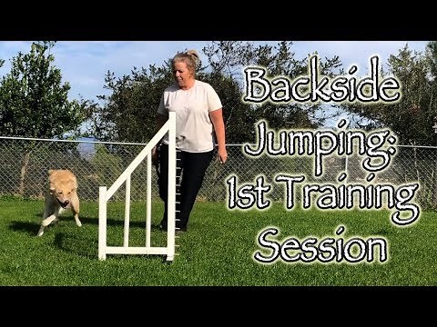 Backside Jumping - Dog Agility "How To" 1st Session