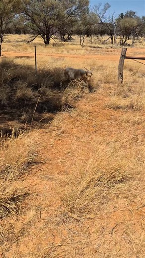 876 reactions · 120 comments | Poor little guy | Life at Leander | Facebook