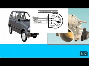 Suzuki Mehran TPS Wiring & ECU Pinout Explained | Throttle Position Sensor