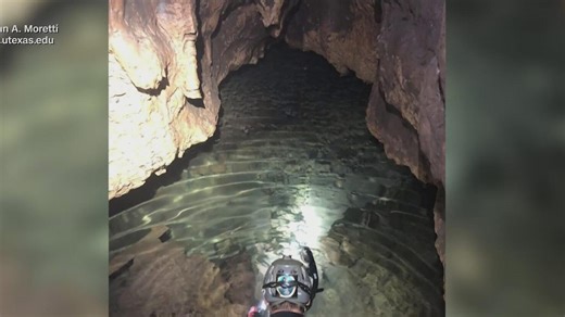 Ice Age fossils discovered in underwater Texas cave raise new questions about region’s past