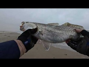 South Padre Island Surf Fishing