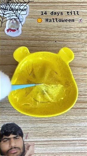 Don’t watch til the end - It’s terrifying! #thatlittlepuff #catsofyoutube