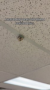 22K views · 206 reactions | Me: decorating my classroom… Also me:...