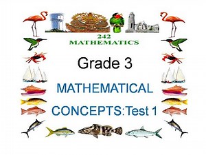 MATHEMATICAL CONCEPTS: GRADE 3