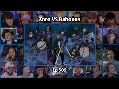 ZORO VS BABOONS REACTION MASHUP - ONE PIECE EPISODE 509
