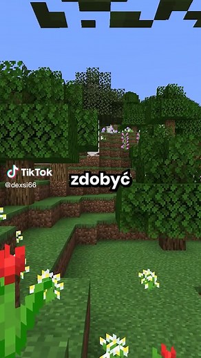 Budowa potężnej twierdzy w grze Minecraft na serwerze Anarchia SMP!
