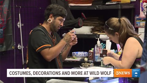 Costumes, decorations and more at Wild Wolf