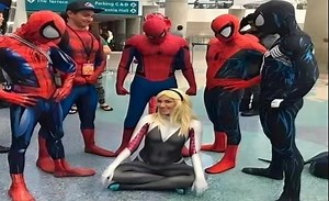 “笑了你就会变成格温对付五个蜘蛛侠的MeMes”#441