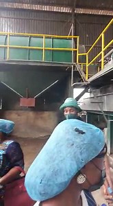 Cassava Value Chain opportunities in Ogun State: This Factory at Ososa in Odogbolu LGA, produces 30 tons of High-quality Garri per day for Export and Local Consumption. | Renewed Hope United Kingdom