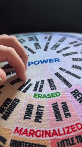 Intersectionality: Wheel of Privilege Throw Pillow - Etsy Canada