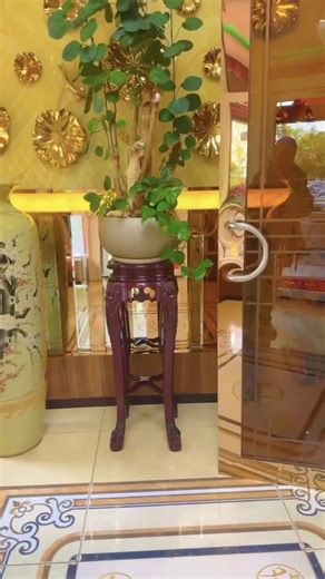 Ziba (@ziba2979)’s videos with Originalton - Ziba